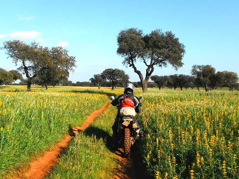 5 Days of Offroad-Training & Tour in Portugal