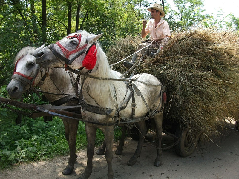 Romania-Round Trip: 12 days