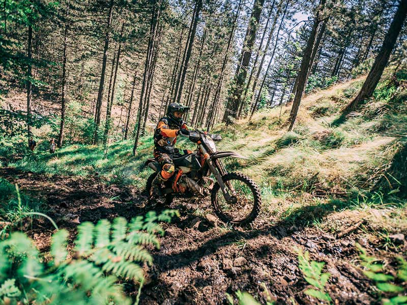 5-Day Enduro Tour in Serbia