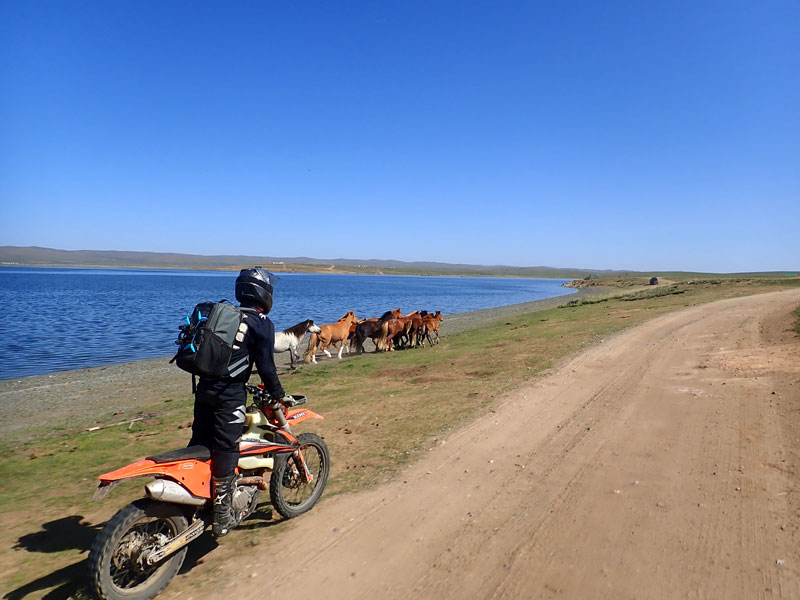Mongolia - Khangai Little Baikal